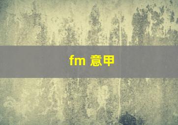 fm 意甲